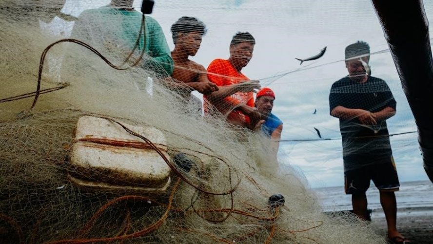 harley flat rate labor guide