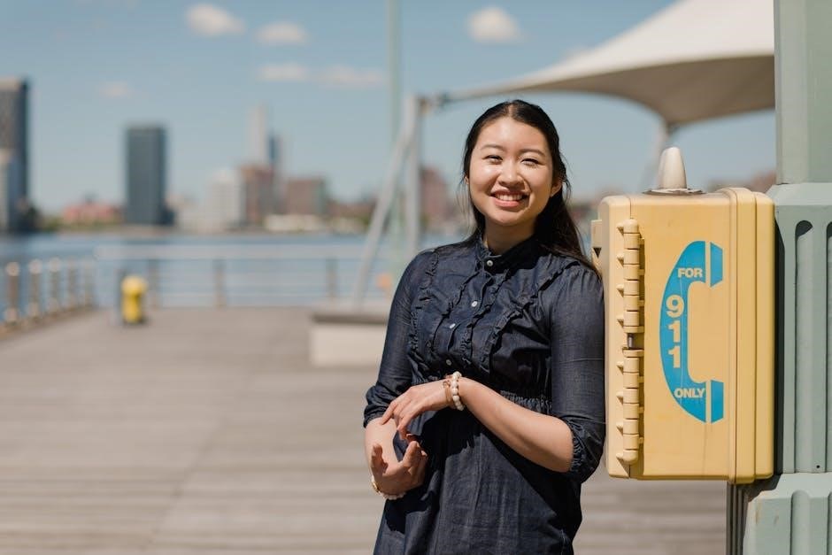 porsche 911 owners manual pdf download